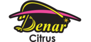 Логотип Denar Group